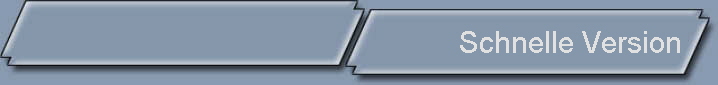 Schnelle Version